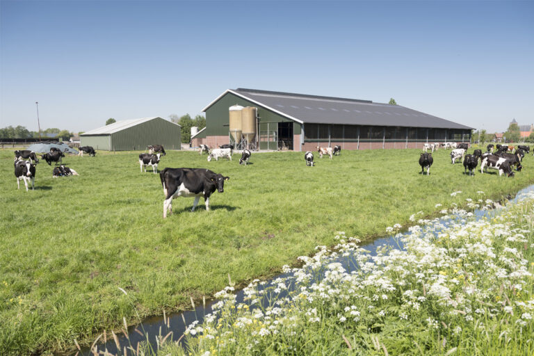 Boerderij met koeien - header het belang van goed water voor de Agro - Remon Waterbehandeling